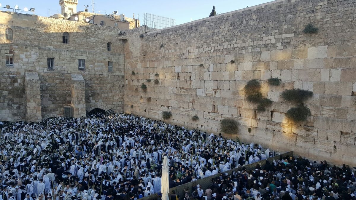 'הושענא רבה': אלפים הגיעו לכותל המערבי