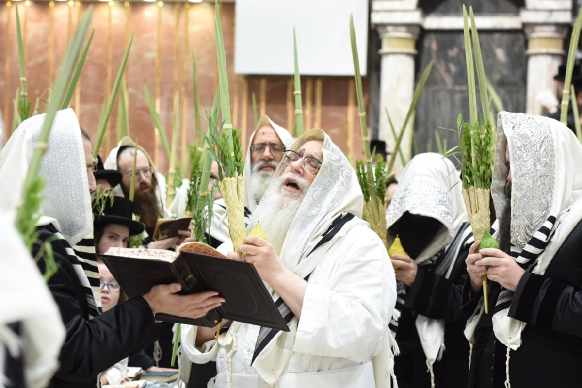 תיעוד מקיף: חג הסוכות בחצר הקודש צאנז