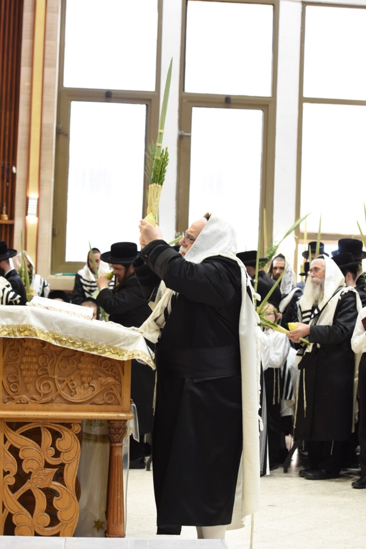 תיעוד מקיף: חג הסוכות בחצר הקודש צאנז