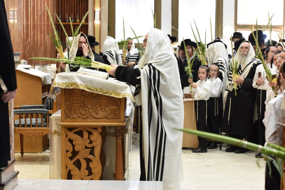 תיעוד מקיף: חג הסוכות בחצר הקודש צאנז