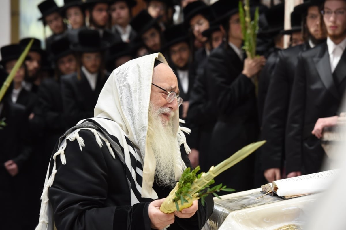 תיעוד מקיף: חג הסוכות בחצר הקודש צאנז