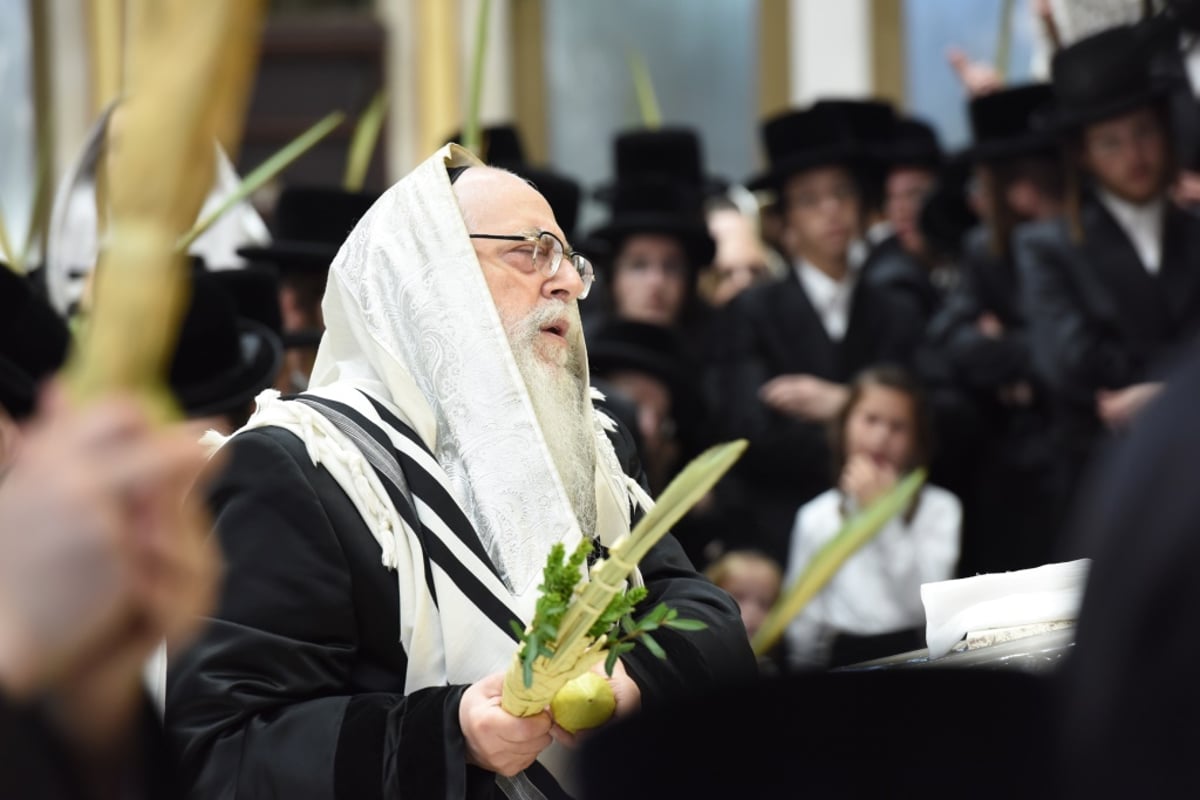 תיעוד מקיף: חג הסוכות בחצר הקודש צאנז