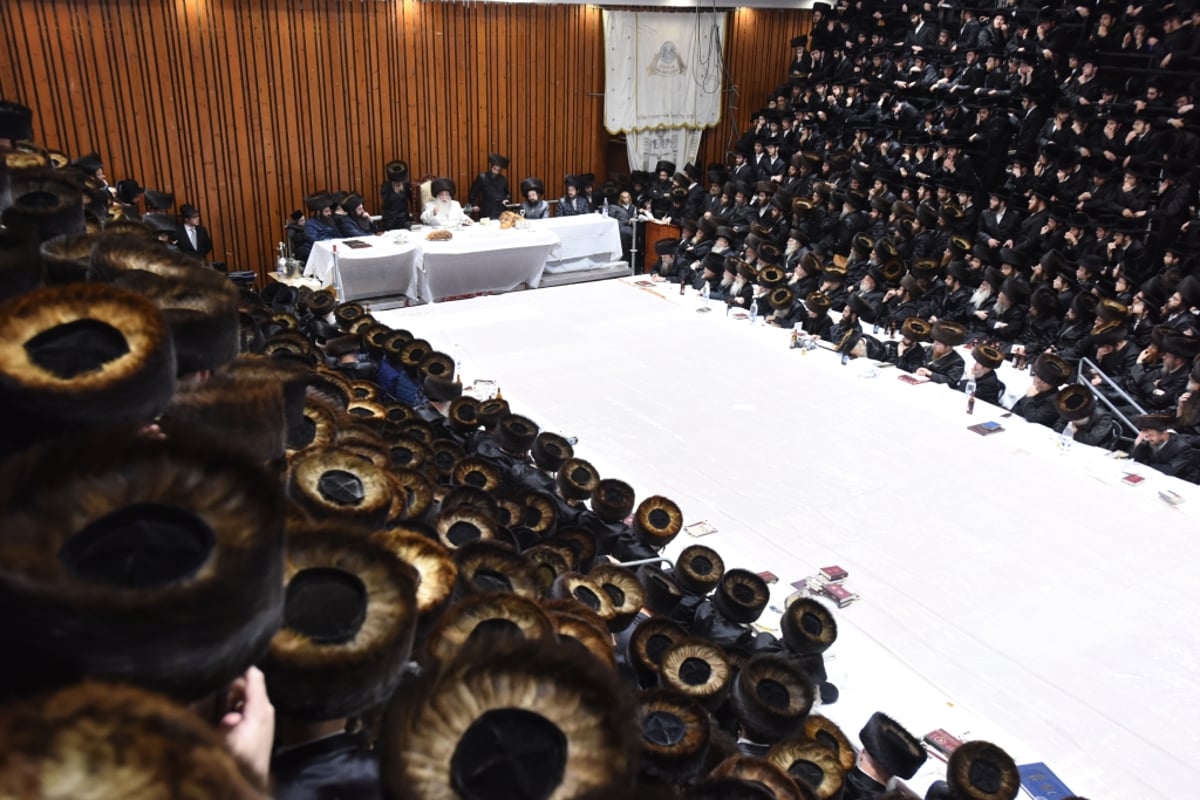 תיעוד מקיף: חג הסוכות בחצר הקודש צאנז