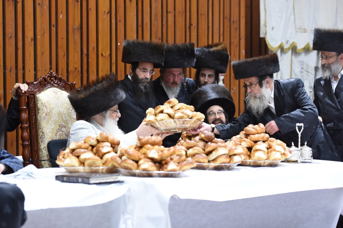 תיעוד מקיף: חג הסוכות בחצר הקודש צאנז