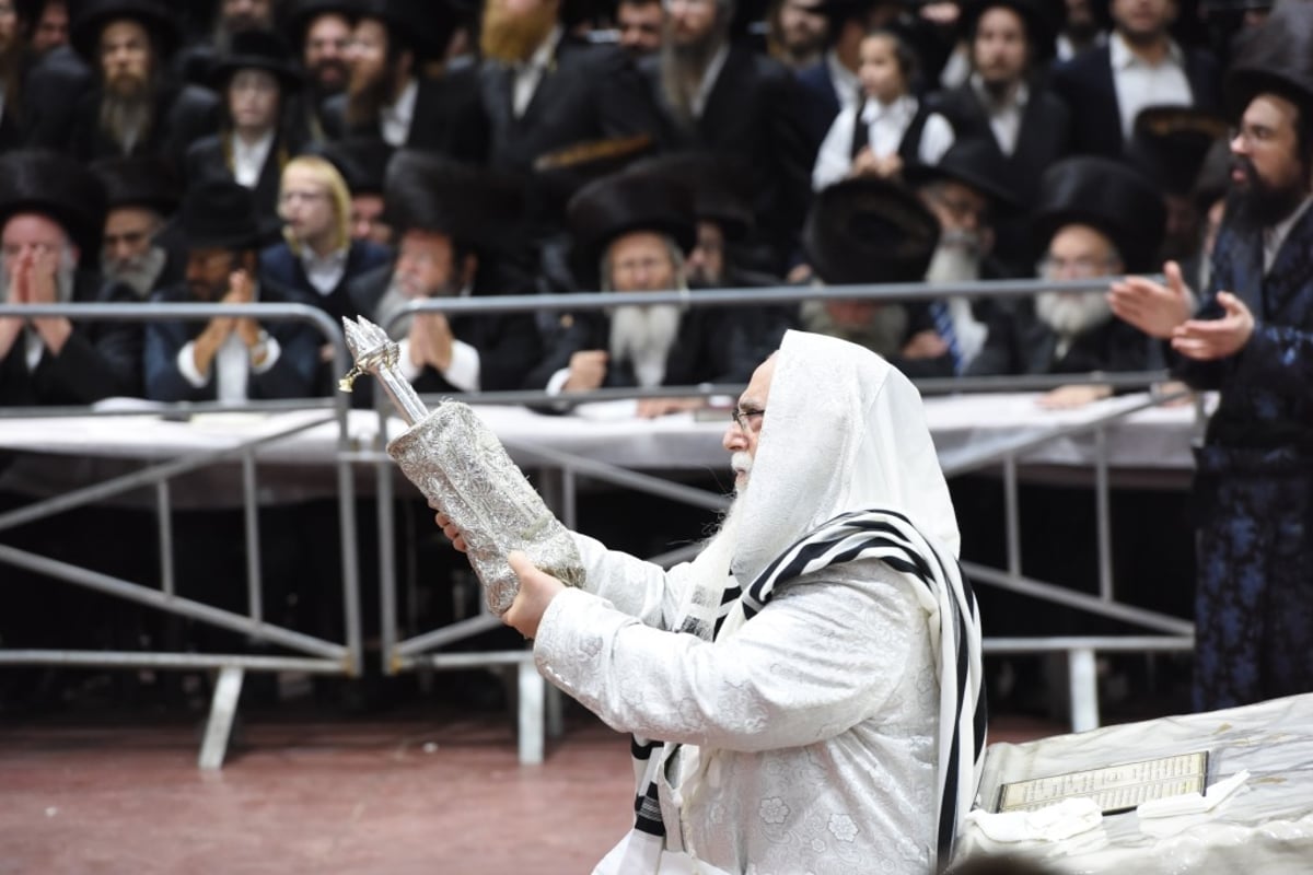 תיעוד מקיף: חג הסוכות בחצר הקודש צאנז