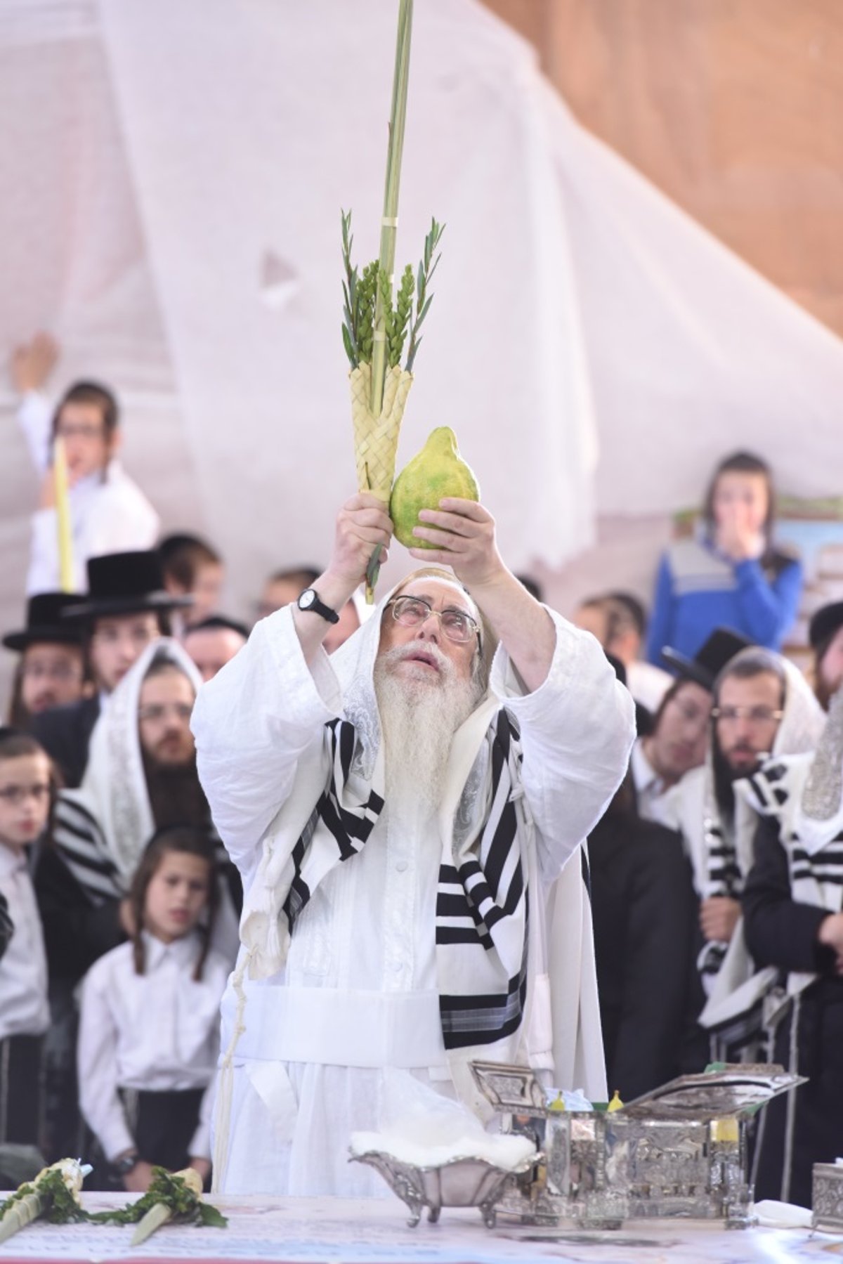 תיעוד מקיף: חג הסוכות בחצר הקודש צאנז