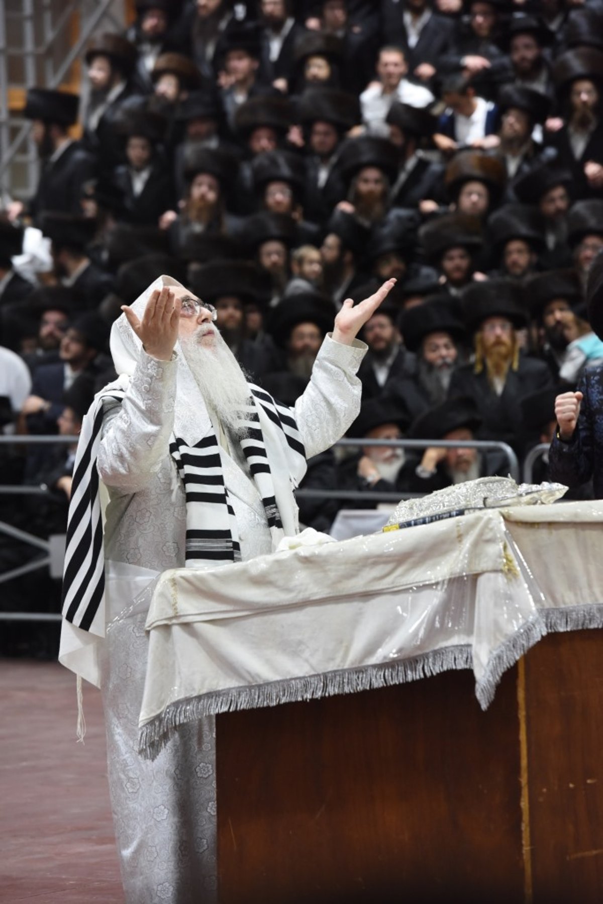 תיעוד מקיף: חג הסוכות בחצר הקודש צאנז