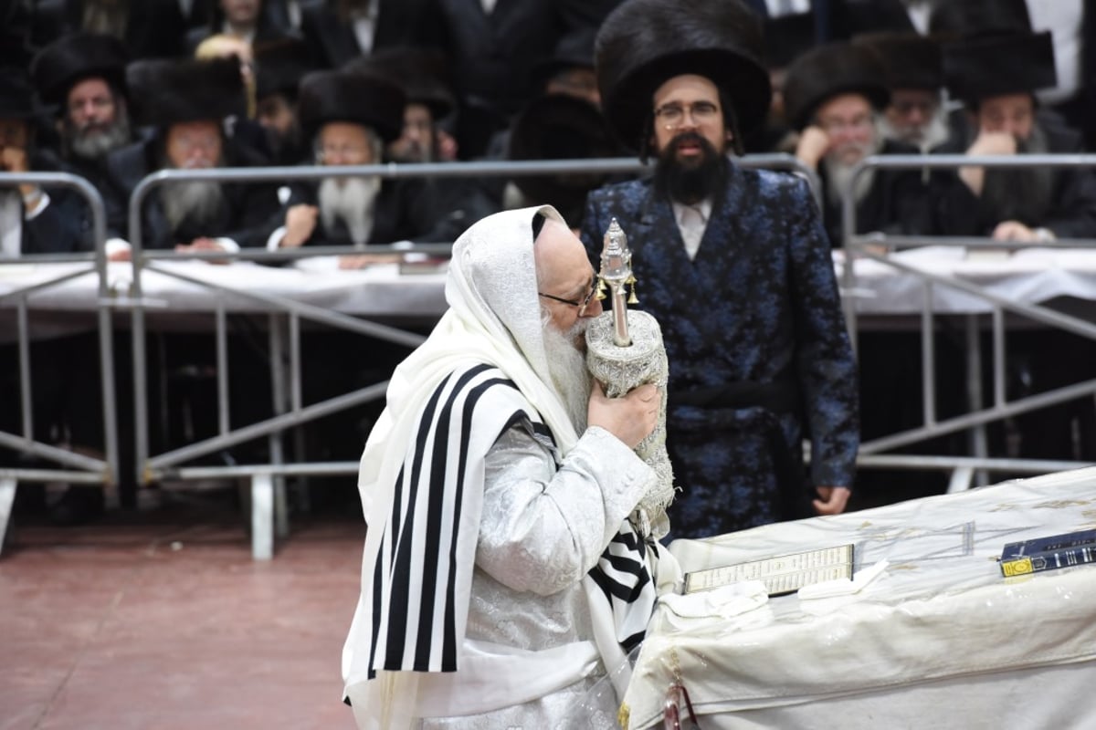 תיעוד מקיף: חג הסוכות בחצר הקודש צאנז