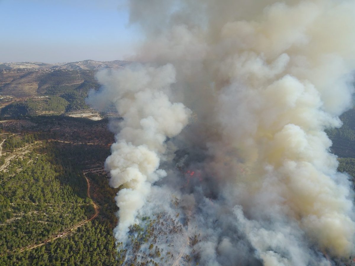 שריפת יער בהר איתן: מטוסי כיבוי נאבקים