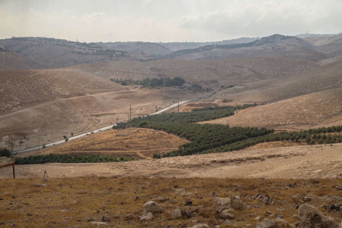 מעץ הזית ועד לבקבוק שמן הזית  - גלריה