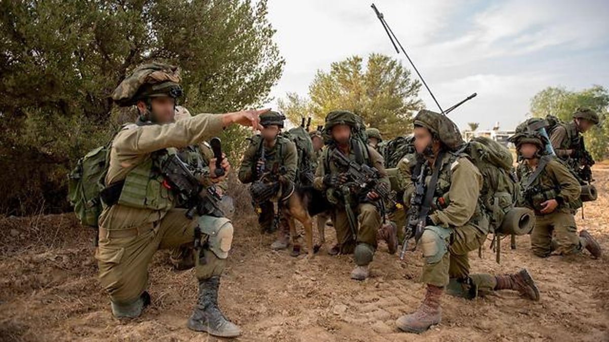 צפו: כלב מאומן תוקף "מחבל" ביעילות רבה