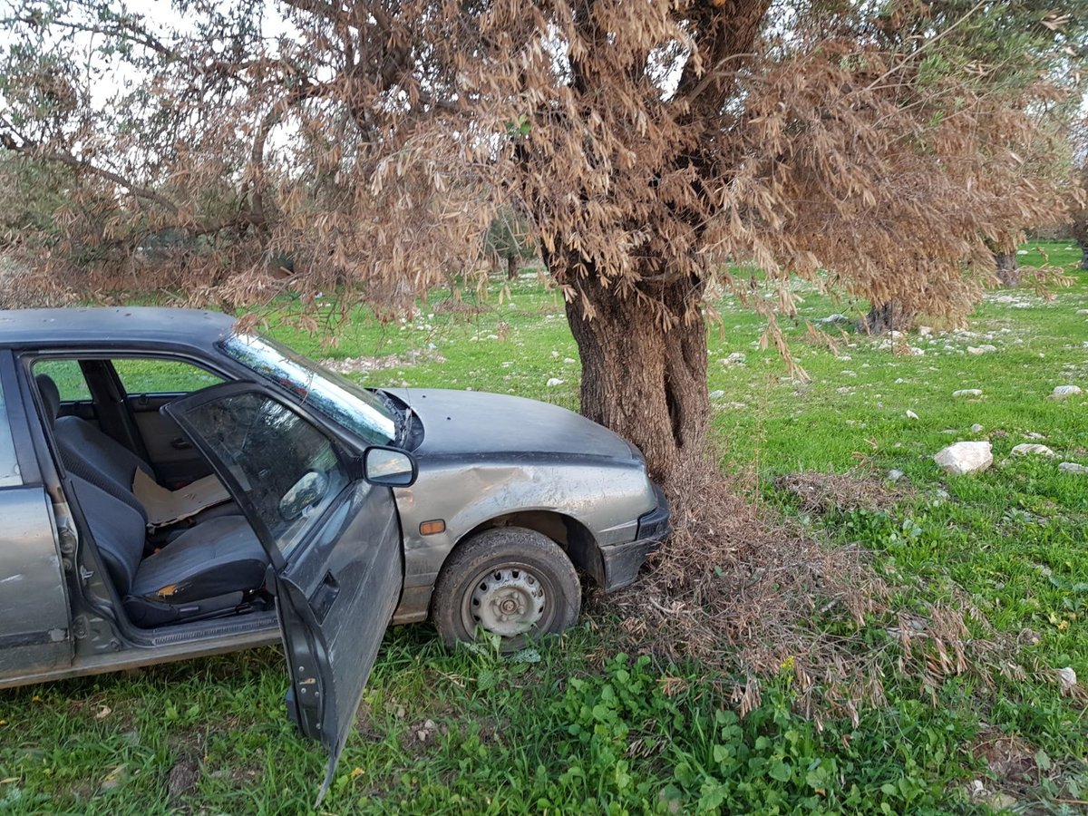 נלחמים בפשיעה: 150 קילו של  אבוקדו גנוב