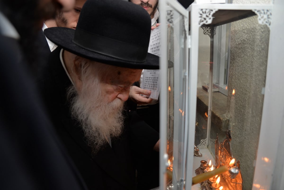 קודם ההדלקה: מרן הגר"ח קנייבסקי שקוע בלימוד • תיעוד