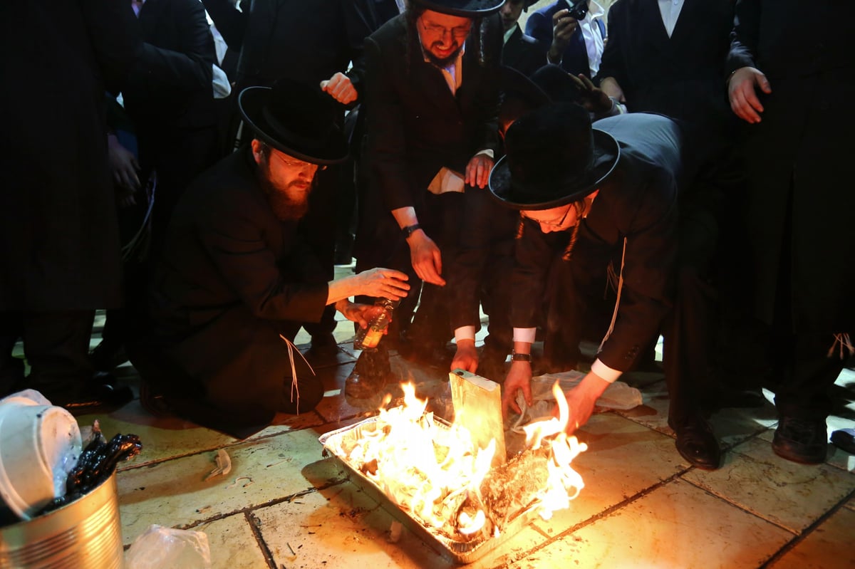 חלאקה במירון ל-100 מילדי בית שמש • צפו