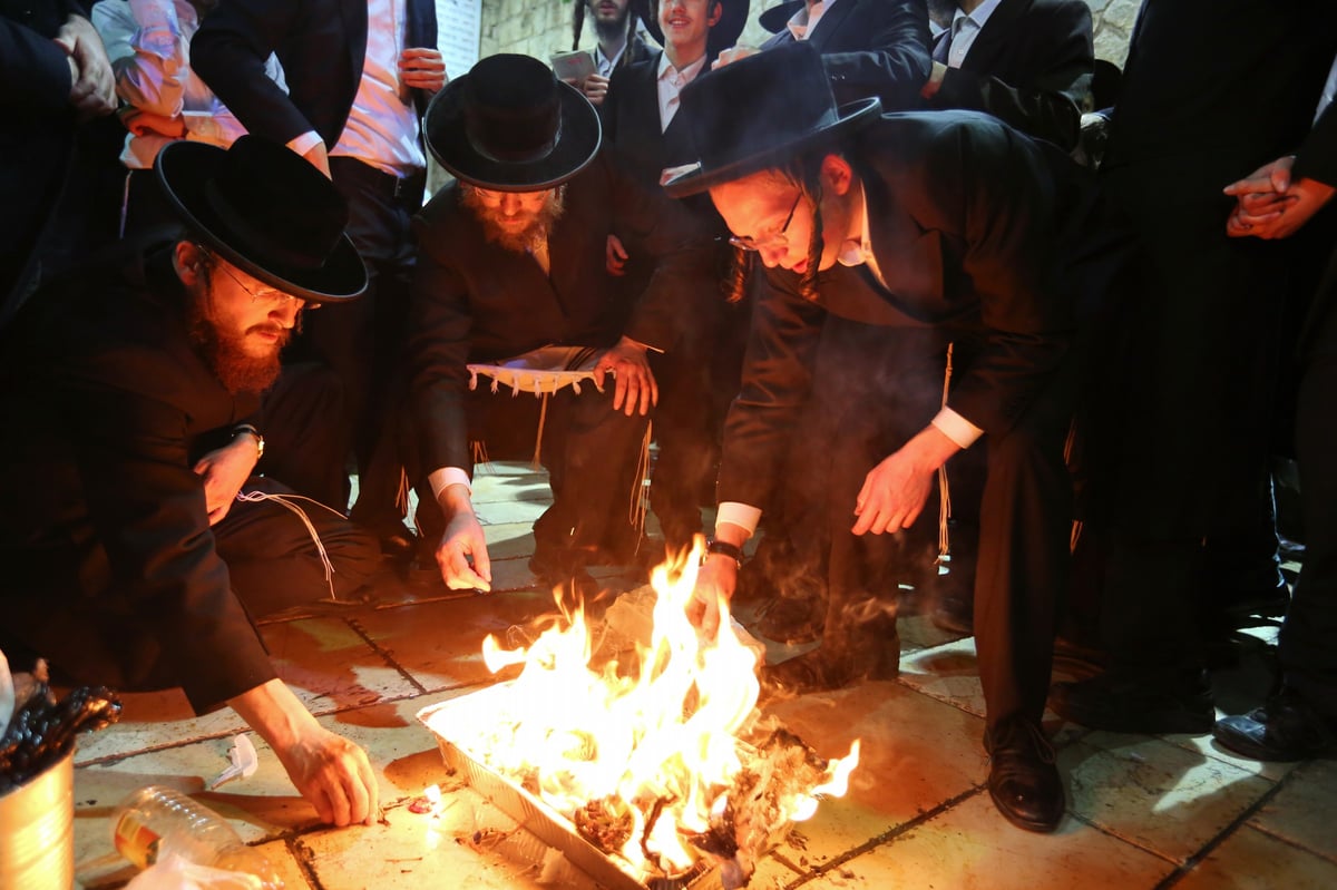 חלאקה במירון ל-100 מילדי בית שמש • צפו