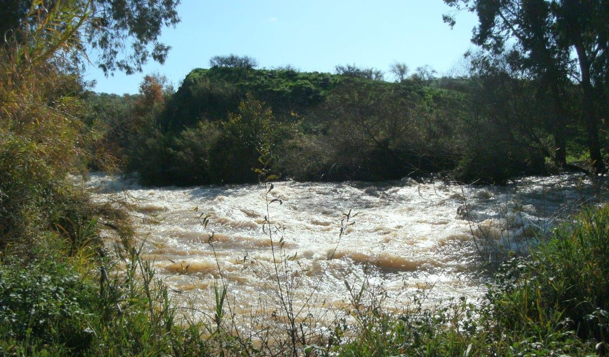 הגליל, נחלי הצפון והחרמון בתיעוד מרהיב