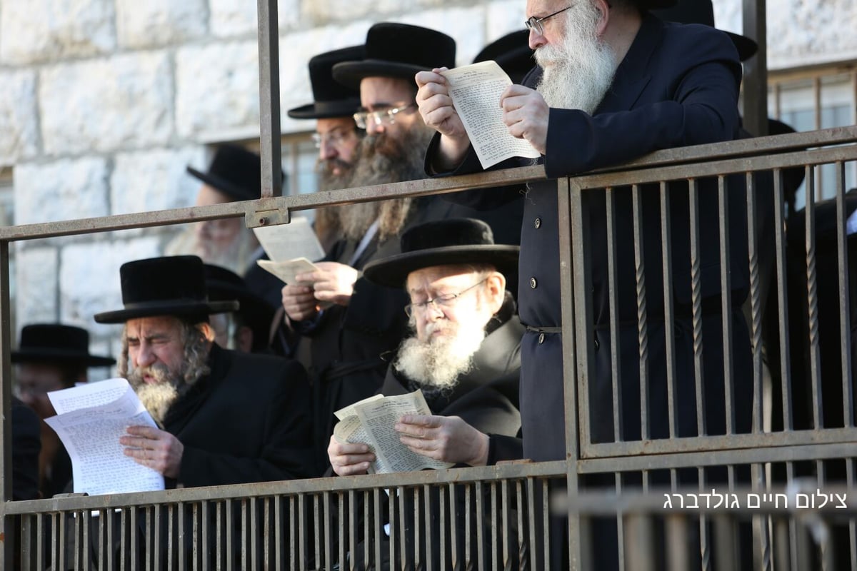 בעצרת על מות התינוקות: תפילה על החשודים בפרוטקשן