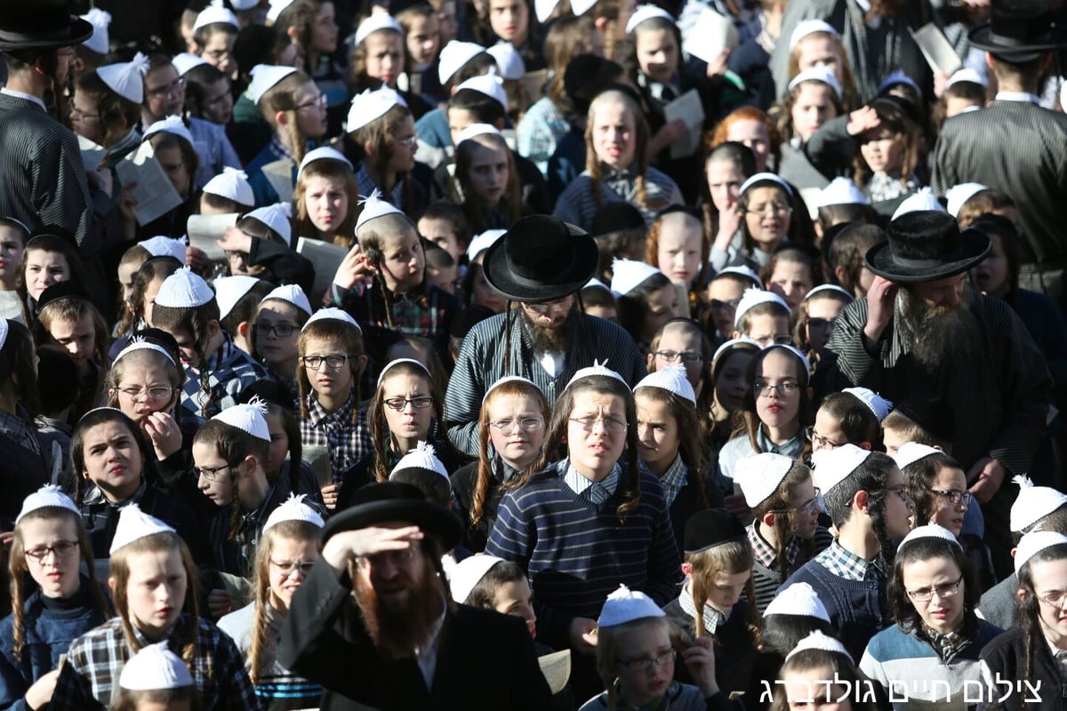 בעצרת על מות התינוקות: תפילה על החשודים בפרוטקשן