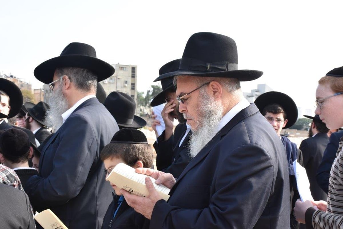 העלייה לציון מרן הרב שטיינמן זצ"ל • גלריה