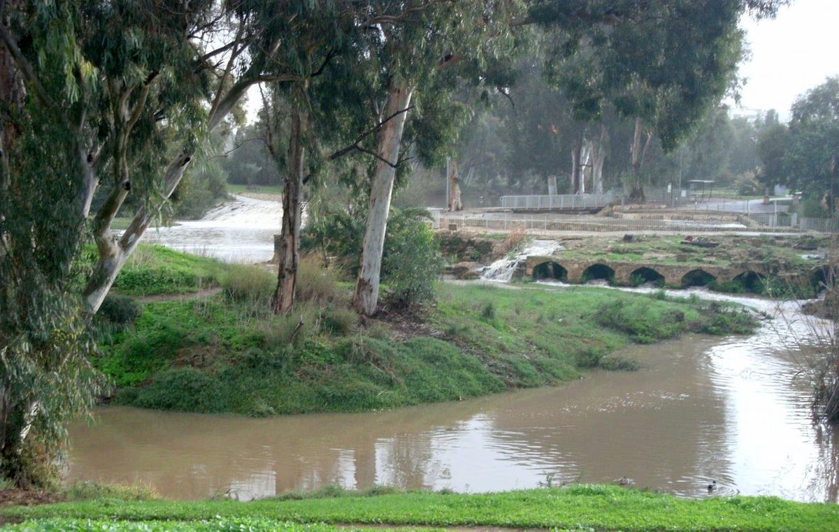 אחרי גשמי הברכה: אתר שבע הטחנות • צפו