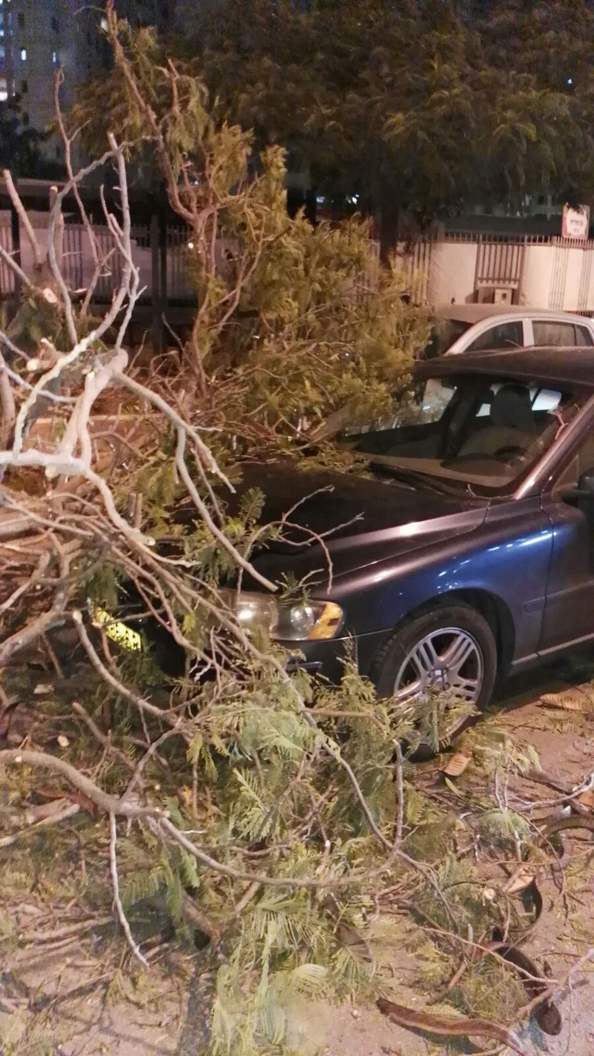 הסופה בעיצומה: רוחות אדירות גרמו לנזק וחסימת כבישים