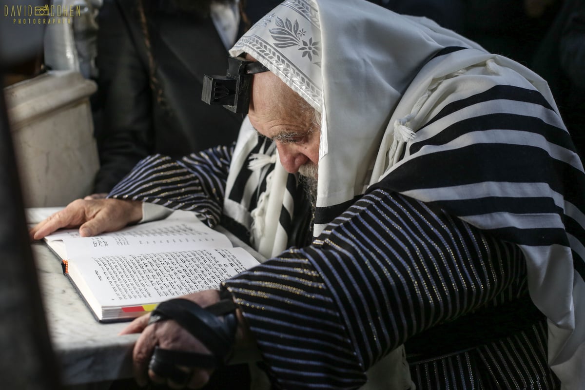 תיקון שובבי"ם בראשות גאב"ד קארלסבורג