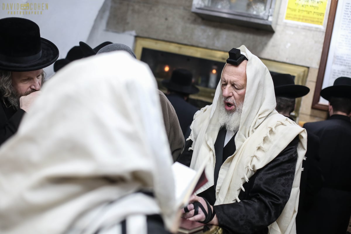 תיקון שובבי"ם בראשות גאב"ד קארלסבורג