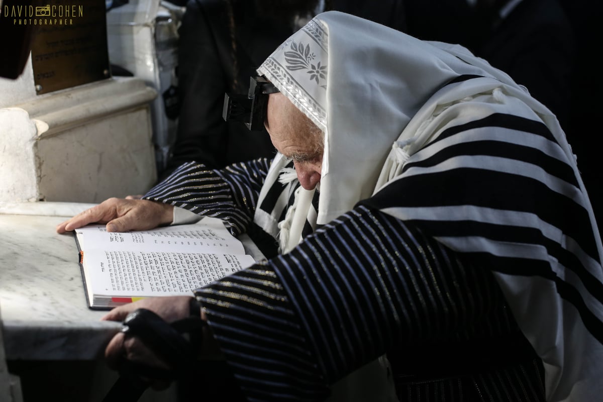 תיקון שובבי"ם בראשות גאב"ד קארלסבורג