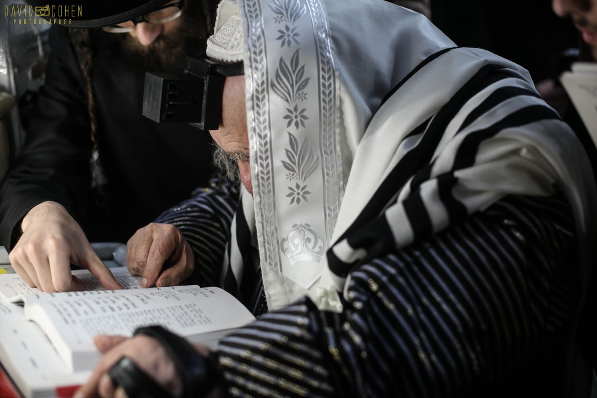 תיקון שובבי"ם בראשות גאב"ד קארלסבורג