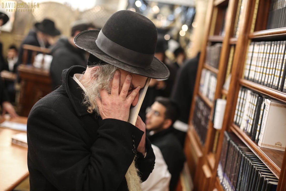 תיקון שובבי"ם בראשות גאב"ד קארלסבורג