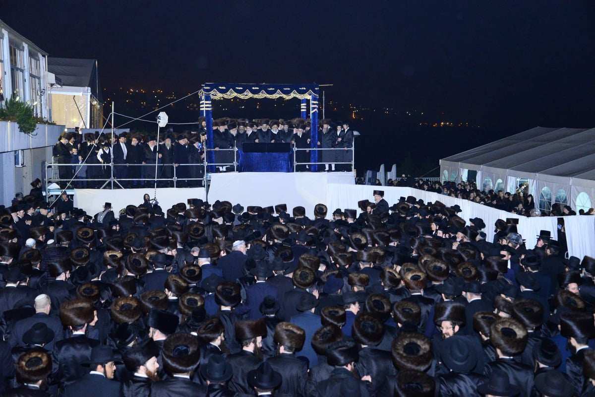 תיעוד ענק: חתונת בן האדמו"ר מסאדיגורא