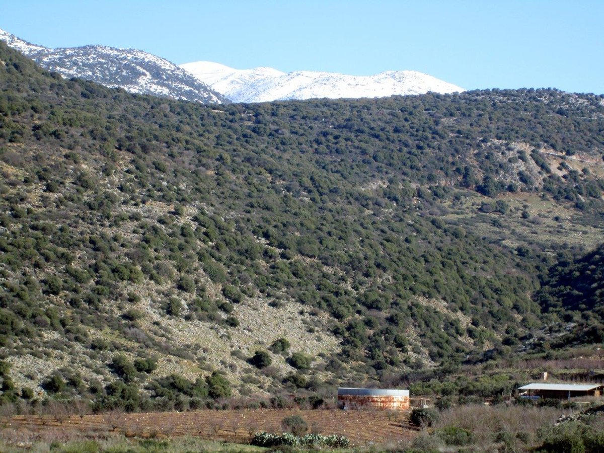 השלג ברמת הגולן והזרימות העזות בנחלי הצפון • צפו