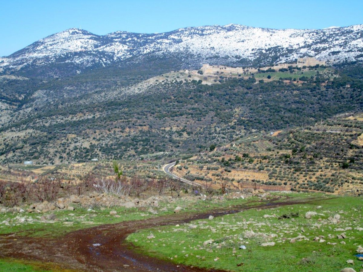 השלג ברמת הגולן והזרימות העזות בנחלי הצפון • צפו