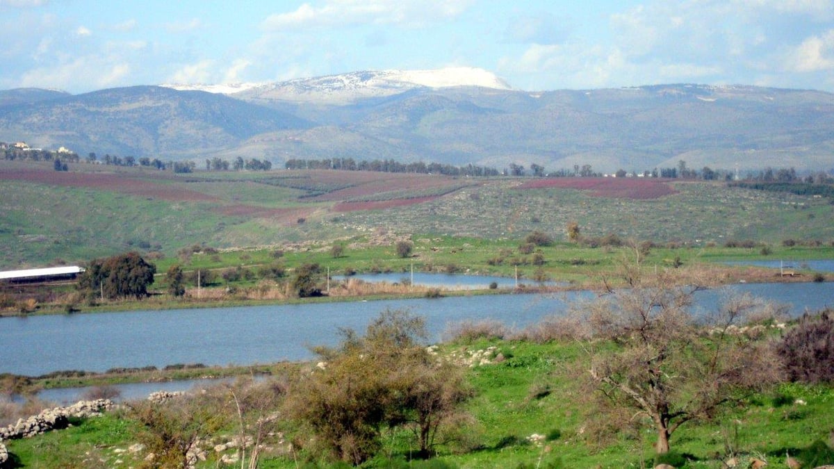 השלג ברמת הגולן והזרימות העזות בנחלי הצפון • צפו