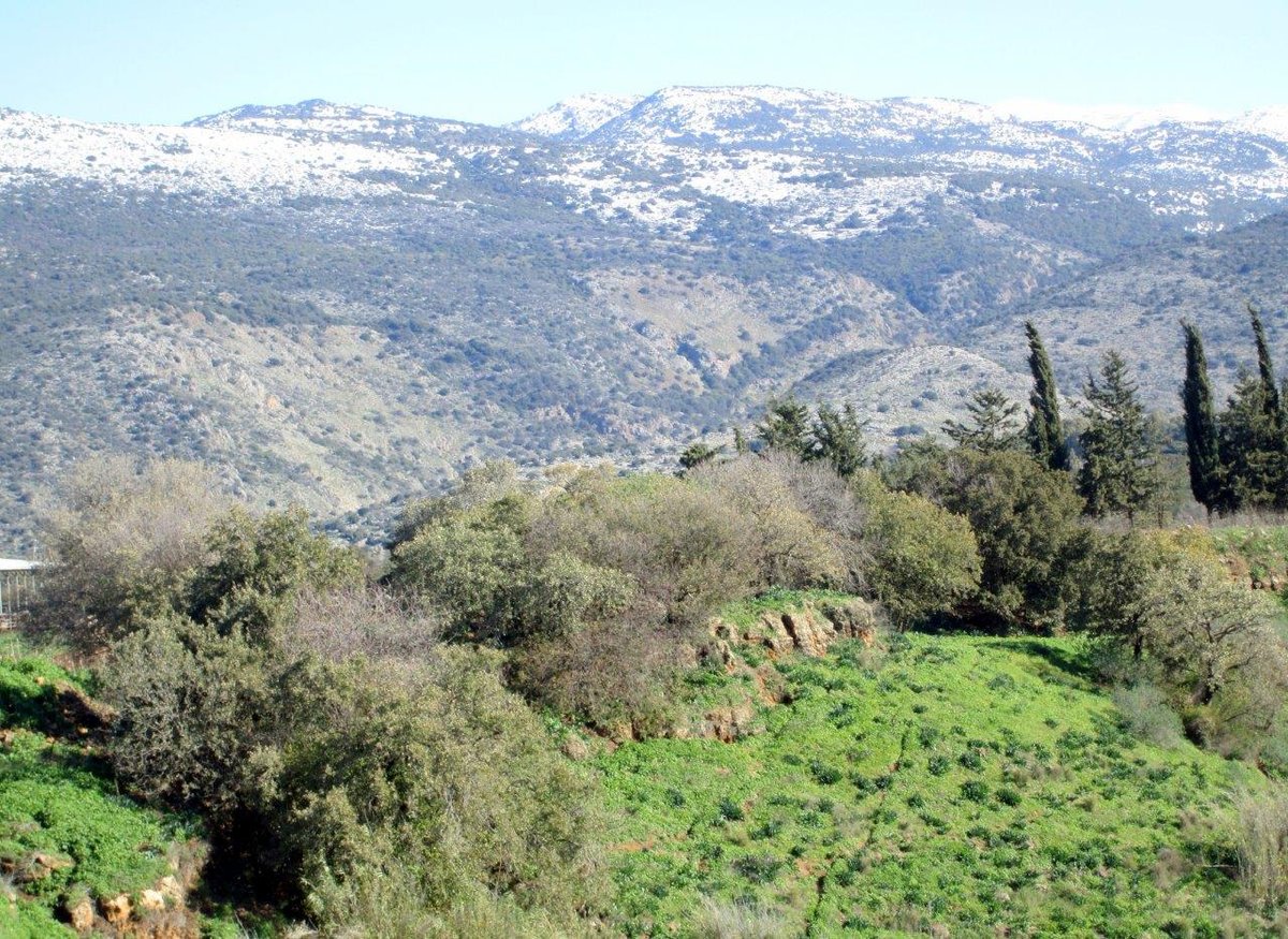 השלג ברמת הגולן והזרימות העזות בנחלי הצפון • צפו