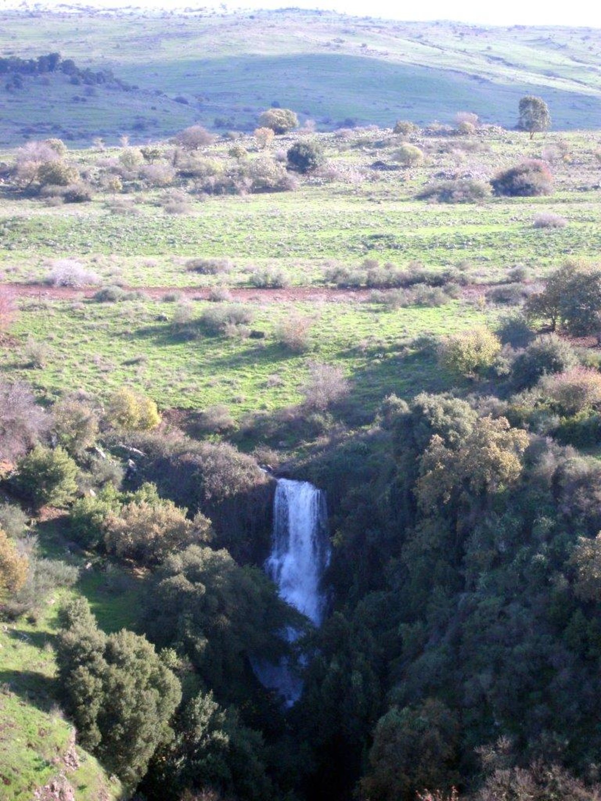 השלג ברמת הגולן והזרימות העזות בנחלי הצפון • צפו