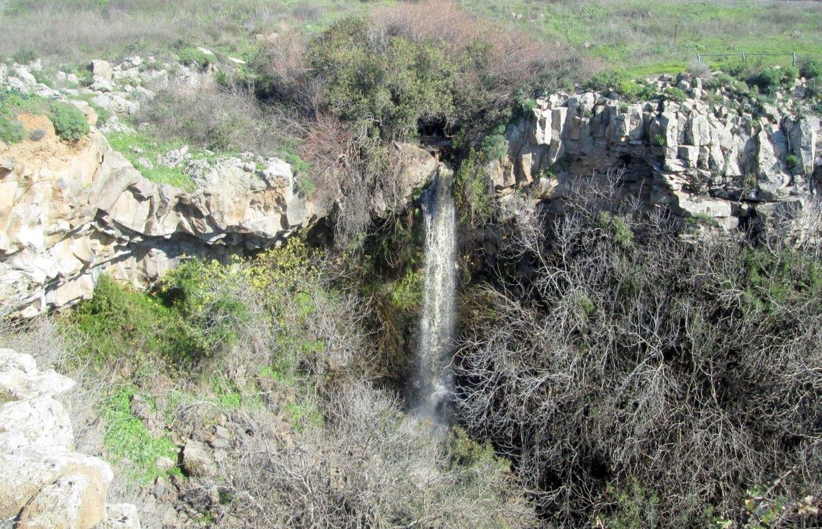 השלג ברמת הגולן והזרימות העזות בנחלי הצפון • צפו