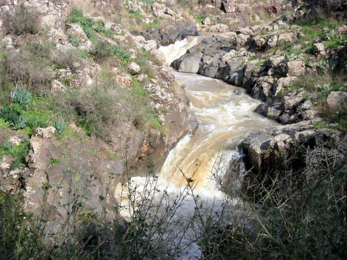 השלג ברמת הגולן והזרימות העזות בנחלי הצפון • צפו