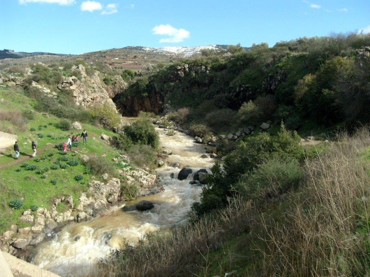 השלג ברמת הגולן והזרימות העזות בנחלי הצפון • צפו