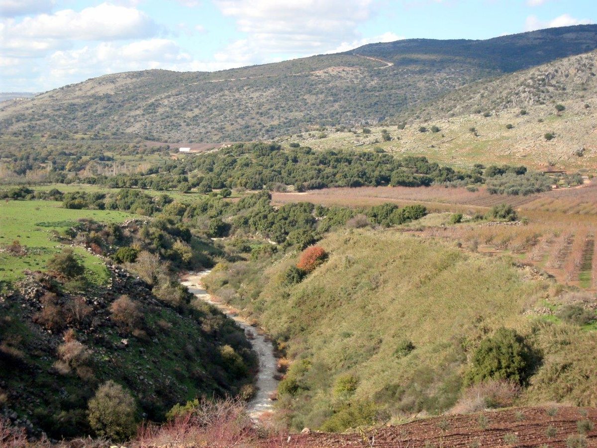 השלג ברמת הגולן והזרימות העזות בנחלי הצפון • צפו