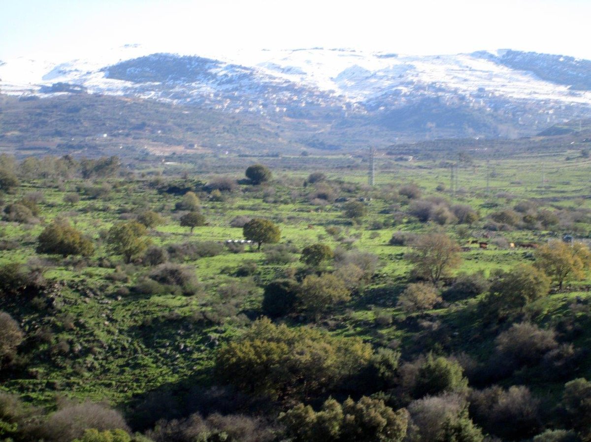 השלג ברמת הגולן והזרימות העזות בנחלי הצפון • צפו