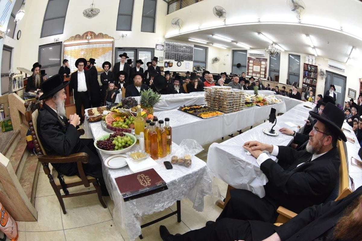 טיש ט"ו בשבט בחצר הקודש אשלג. צפו