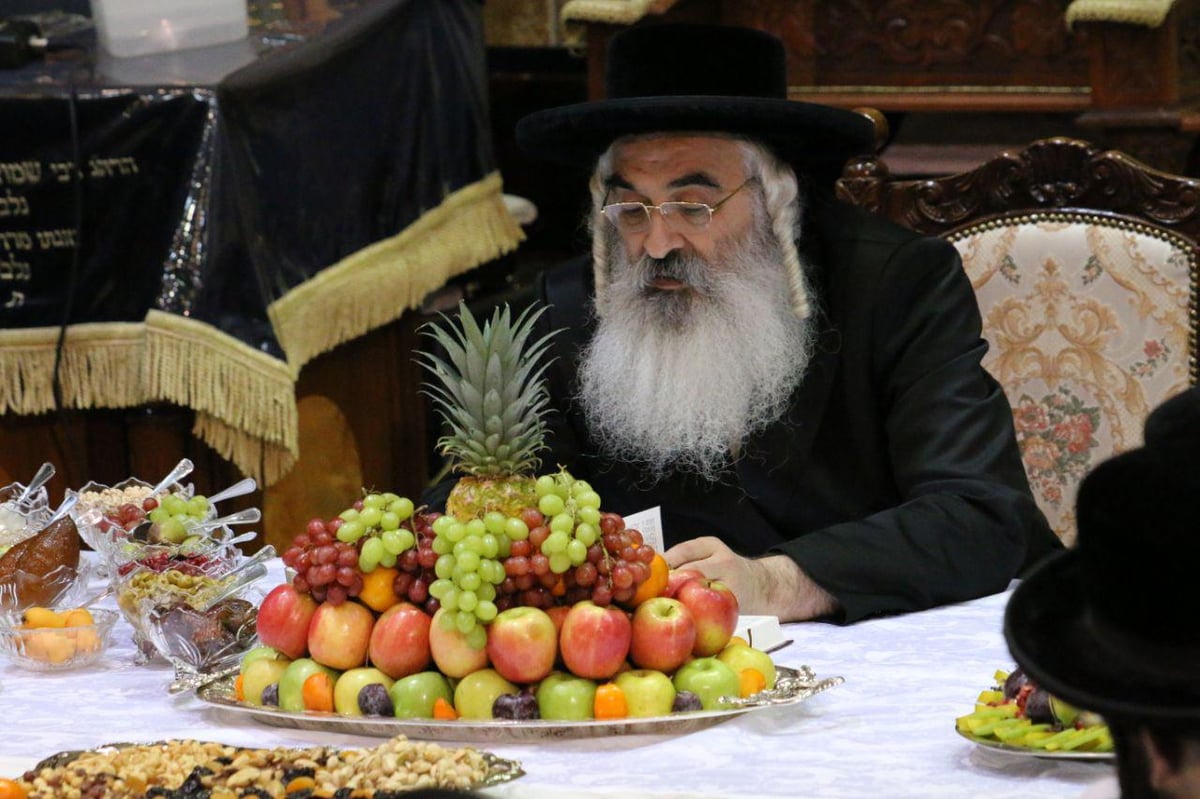 טיש ט"ו בשבט בדושינסקיא ובזוועהיל • צפו