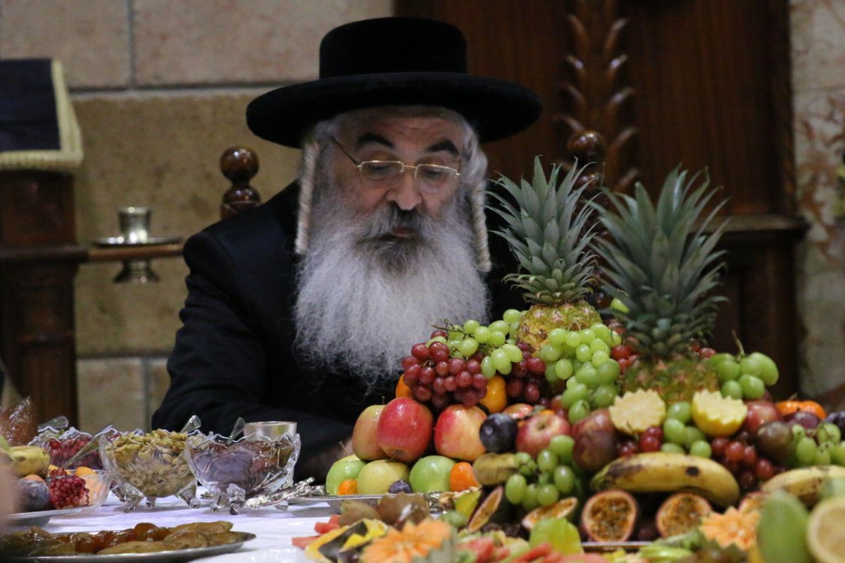 טיש ט"ו בשבט בדושינסקיא ובזוועהיל • צפו