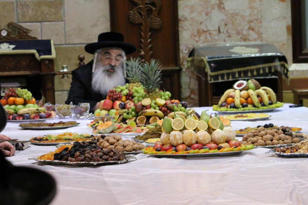 טיש ט"ו בשבט בדושינסקיא ובזוועהיל • צפו