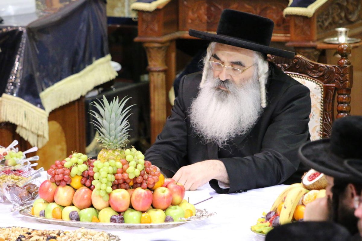 טיש ט"ו בשבט בדושינסקיא ובזוועהיל • צפו