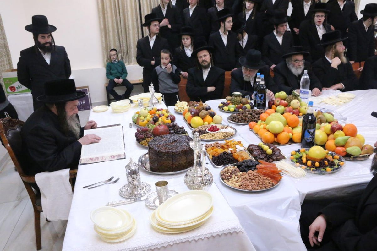 טיש ט"ו בשבט בדושינסקיא ובזוועהיל • צפו