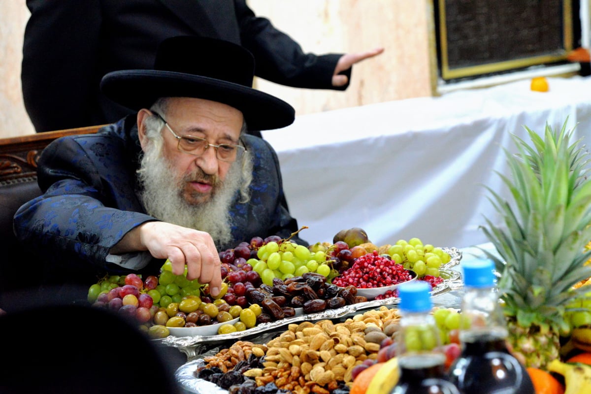 מדעעש ועד ספינקא • ט"ו בשבט בבני ברק