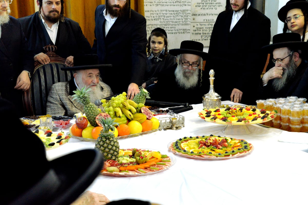 מדעעש ועד ספינקא • ט"ו בשבט בבני ברק