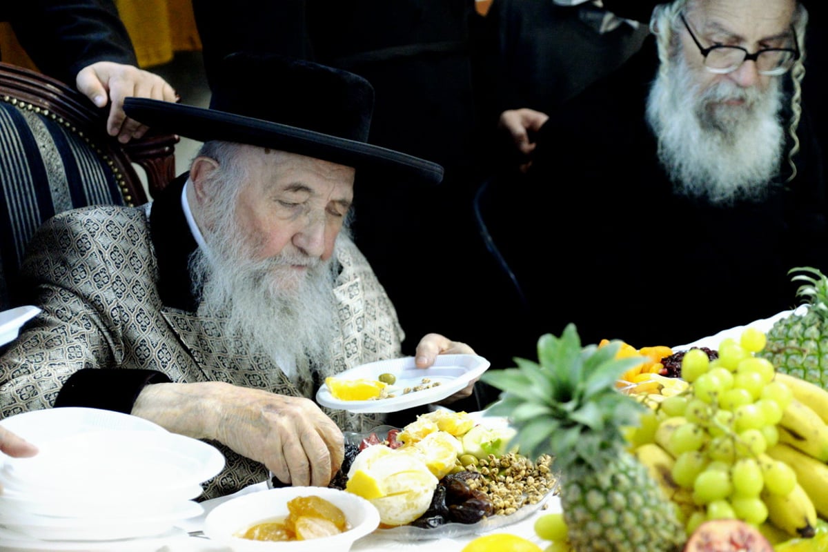 מדעעש ועד ספינקא • ט"ו בשבט בבני ברק